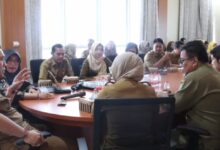 Wabup Pulang Pisau Buka Rakor PIP DAU-SG Kesehatan