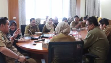 Wabup Pulang Pisau Buka Rakor PIP DAU-SG Kesehatan
