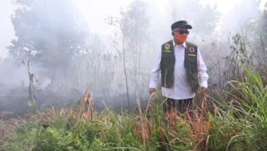 Gubernur Kalsel Turun Langsung Padamkan Karhutla Guntung Damar