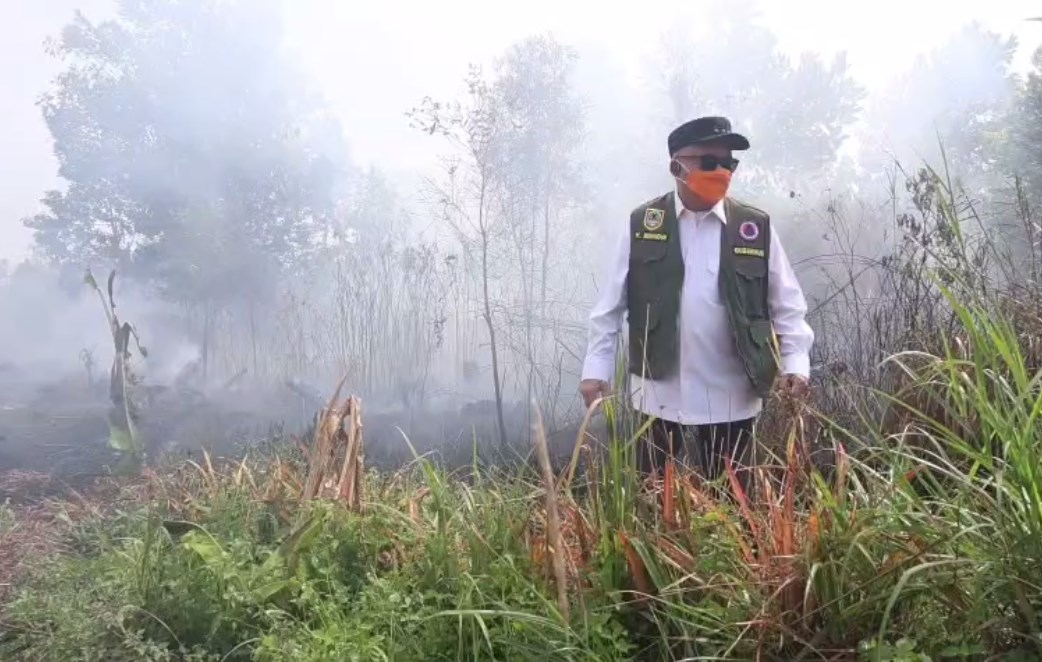 Gubernur Kalsel Turun Langsung Padamkan Karhutla Guntung Damar