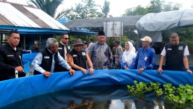 Pembudidaya Ikan Haruan Keluhkan Krisis Air Saat Kemarau ke Komisi II