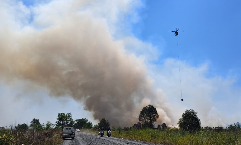 Lahan di Pengayuan