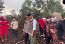 Menhut Cek Langsung Penanganan Karhutla di Penggalaman
