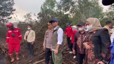 Menhut Cek Langsung Penanganan Karhutla di Penggalaman