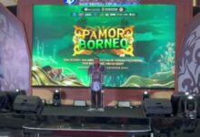 Pamor Borneo Raup Investasi hingga Rp73 Triliun