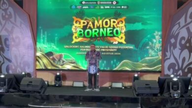 Pamor Borneo Raup Investasi hingga Rp73 Triliun