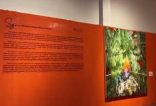 Pra Biennale Hadirkan Cerita Dan Budaya Lewat Seni Rupa