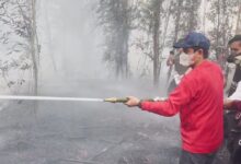 Wamenko Pangan Terjun Langsung Padamkan Karhutla di Liang Anggang