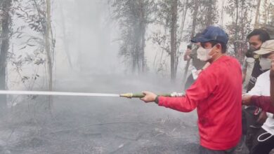 Wamenko Pangan Terjun Langsung Padamkan Karhutla di Liang Anggang