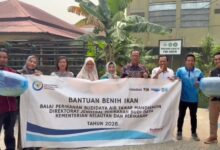 Tebar 50 Ribu Benih Papuyu, UNISM & BPBAT Mandiangin Dorong Budidaya Ikan Lokal