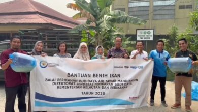 Tebar 50 Ribu Benih Papuyu, UNISM & BPBAT Mandiangin Dorong Budidaya Ikan Lokal