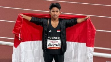Ansyari, Atlet NPCI Kalsel, Cabor Lempar Lembing klasifikasi F40/41