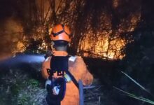 Kebakaran hutan di handil bakti