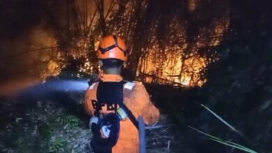 Kebakaran hutan di handil bakti